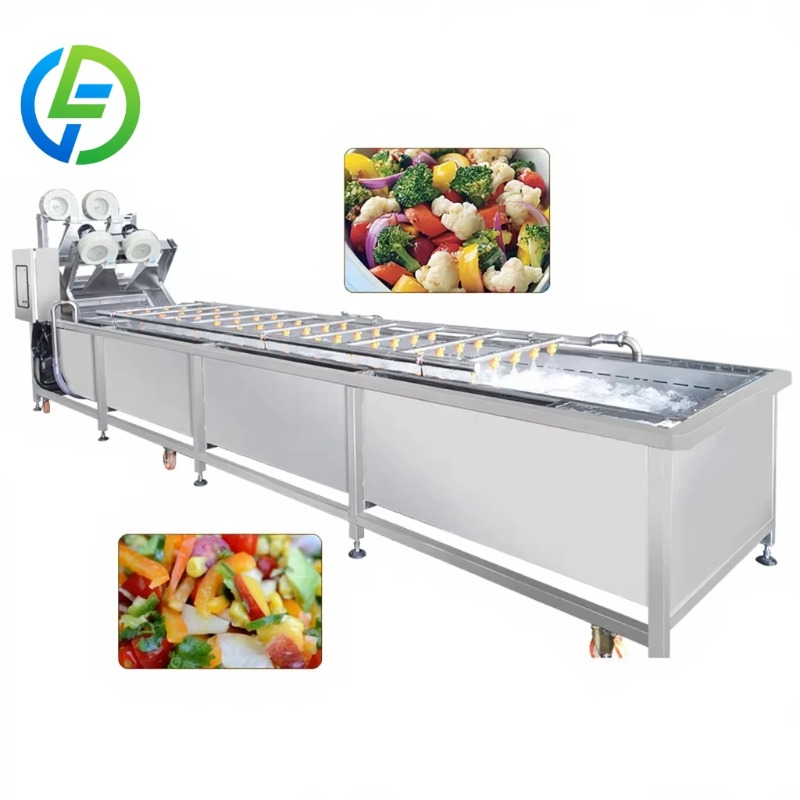 Baby Food Usa - Customized Baby Food Fruit Washer Elevator