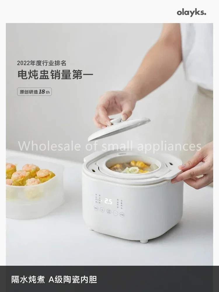 220V Small Electric Cooker, Ba - Baby Food Usa recension och pris